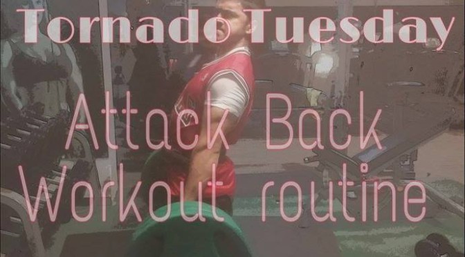 Tornado Tuesday – Attack Back Workout Routine