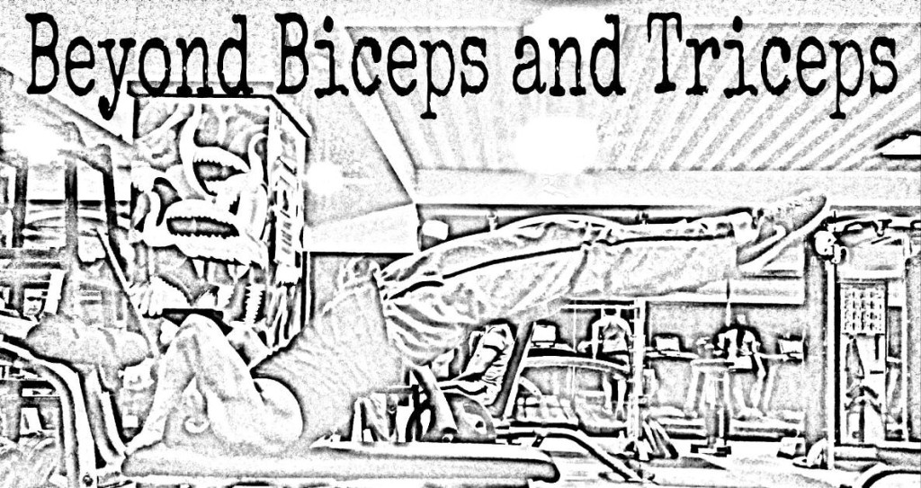 biceps and triceps