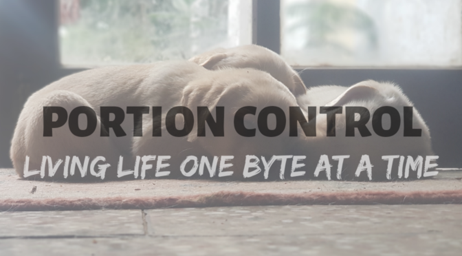 Portion Control – Living Life one Byte at a Time